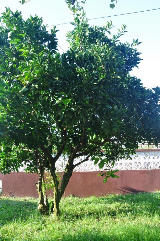 Franko Apartmani ซัมบราทิยา ภายนอก รูปภาพ