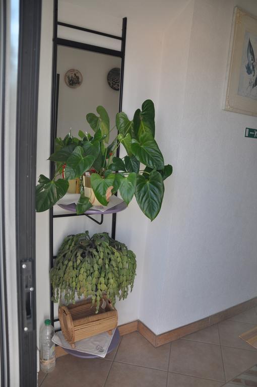 Franko Apartmani ซัมบราทิยา ภายนอก รูปภาพ